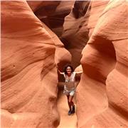 Insegnante di psicologia per liceo ed universita’